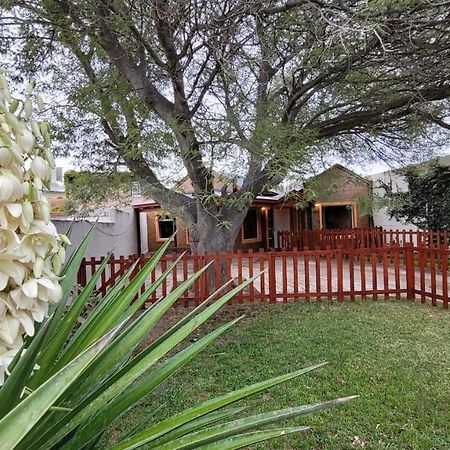 El Patio Del Aromo Apartman Puerto Madryn Kültér fotó