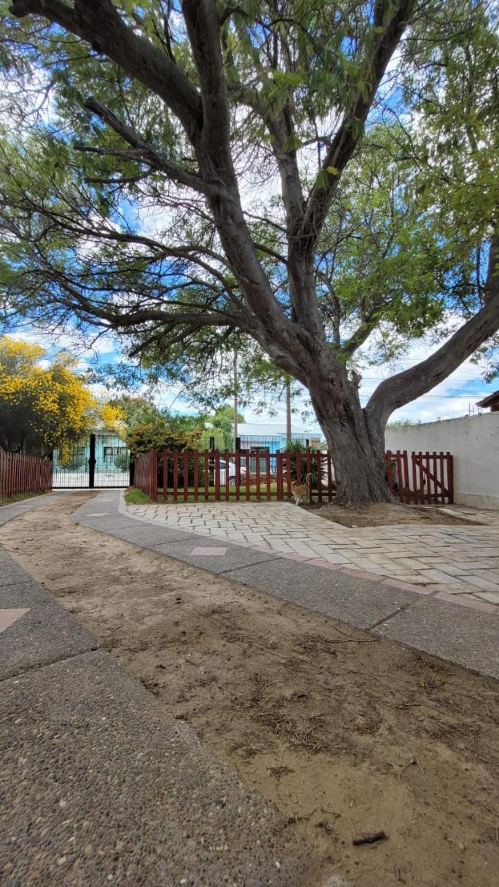 El Patio Del Aromo Apartman Puerto Madryn Kültér fotó